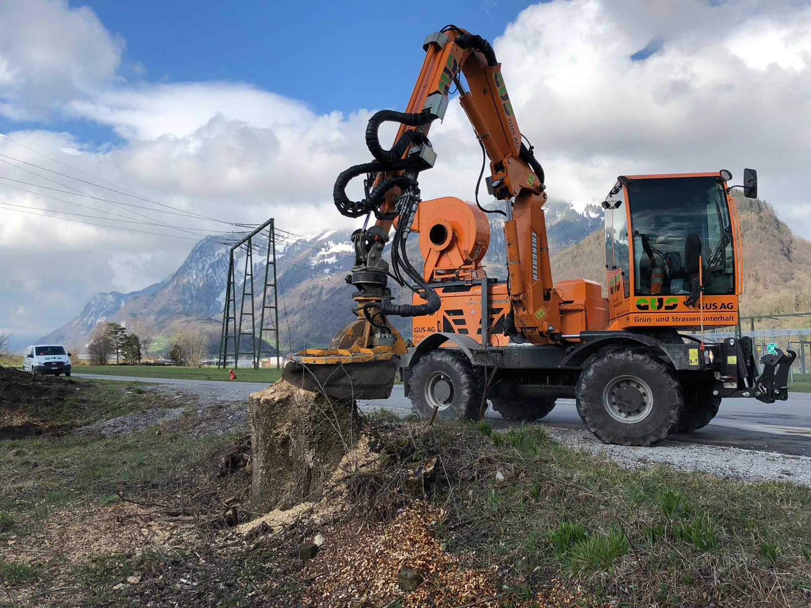 Energreen Stockfräse im Einsatz in den Voralpen.