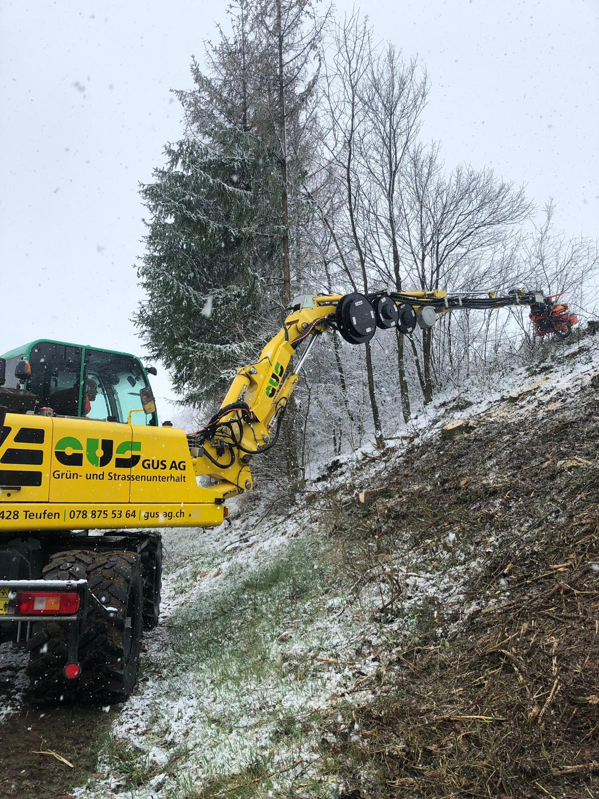 Energreen Fällsammler mit ausgefahrenem Arm an einer steilen Böschung.