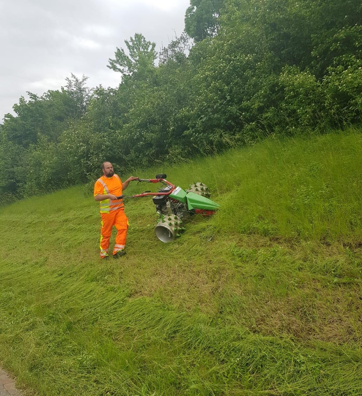 Ein Mitarbeiter mäht das Gras von Hand mit dem Rapid Balkenmäher.