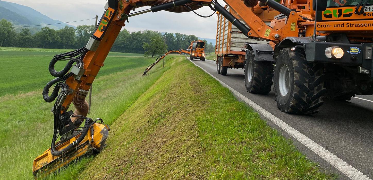 Gras mähen an der Böschung am Strassenrand zur Natur- und Landschaftspflege mit dem Energreen Mulcher