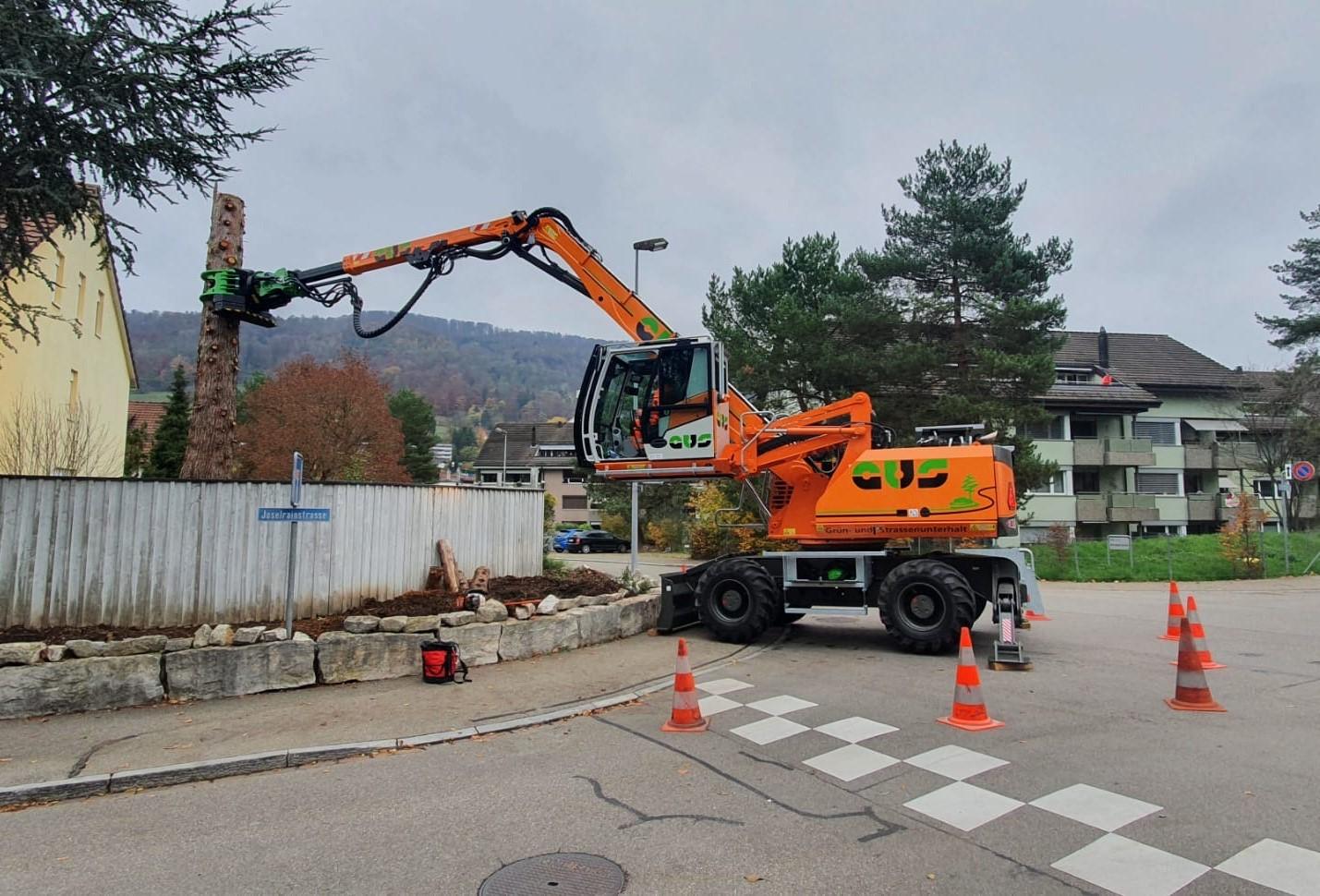 Sennebogen beim Abstücken eines riesigen Baumes.