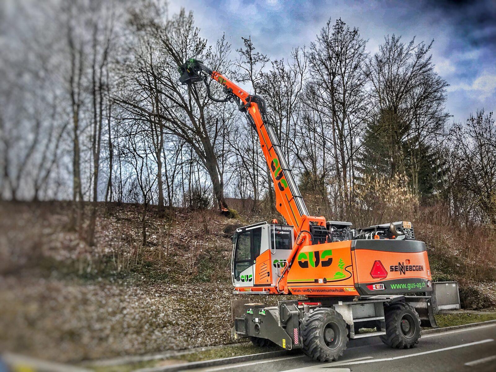 Der Sennebogen 718 schneidet mit seinem langen Greifer einen Baum auf halber Höhe ab.