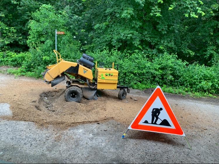 Stockfräse entfernt störrische Wurzeln aus Gehweg.