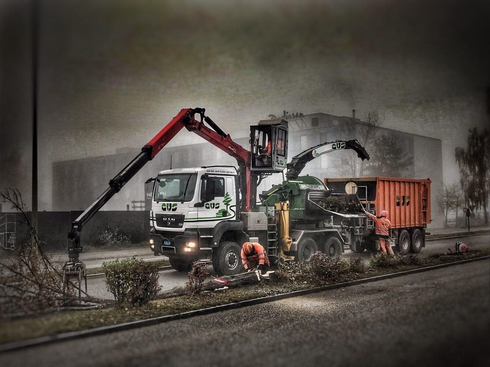 Holzhacker im Einsatz mit erfahrenen Forstwarten.