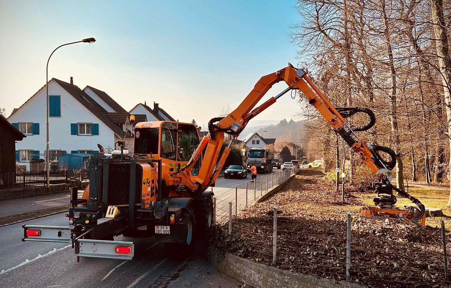 Energreen Stockfräse im Einsatz in einem Park.