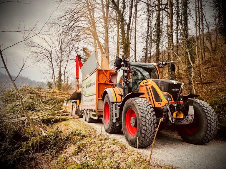 Fendt 720 Traktor mit Fliegl Ladeanhänger räumt Fällgut im Wald.